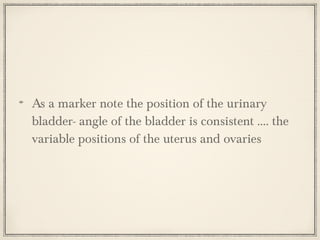 As a marker note the position of the urinary
bladder- angle of the bladder is consistent .... the
variable positions of the uterus and ovaries

 