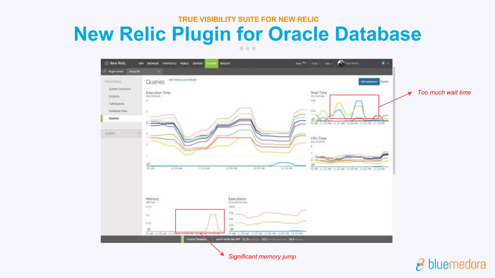 New Relic Plugin for Oracle Database
TRUE VISIBILITY SUITE FOR NEW RELIC
Too much wait time
Significant memory jump
 