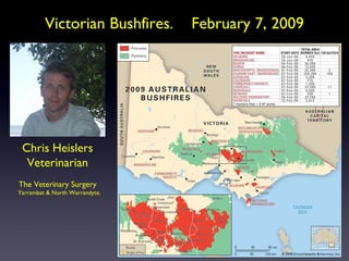 Victorian Bushfires.

Chris Heislers
Veterinarian
The Veterinary Surgery
Yarrambat & North Warrandyte.

February 7, 2009

 