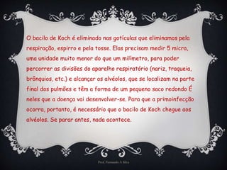 O bacilo de Koch é eliminado nas gotículas que eliminamos pela 
respiração, espirro e pela tosse. Elas precisam medir 5 micra, 
uma unidade muito menor do que um milímetro, para poder 
percorrer as divisões do aparelho respiratório (nariz, traqueia, 
brônquios, etc.) e alcançar os alvéolos, que se localizam na parte 
final dos pulmões e têm a forma de um pequeno saco redondo É 
neles que a doença vai desenvolver-se. Para que a primoinfecção 
ocorra, portanto, é necessário que o bacilo de Koch chegue aos 
alvéolos. Se parar antes, nada acontece. 
Prof. Fernando A Silva 
 
