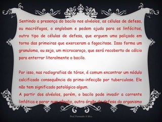 Sentindo a presença do bacilo nos alvéolos, as células de defesa, 
ou macrófagos, o englobam e pedem ajuda para os linfócitos, 
outro tipo de células de defesa, que erguem uma paliçada em 
torno das primeiras que exerceram a fagocitose. Isso forma um 
granuloma, ou seja, um microcaroço, que será recoberto de cálcio 
para enterrar literalmente o bacilo. 
Por isso, nas radiografias de tórax, é comum encontrar um nódulo 
calcificado consequência da primo-infecção por tuberculose. Ele 
não tem significado patológico algum. 
A partir dos alvéolos, porém, o bacilo pode invadir a corrente 
linfática e parar num gânglio, outro órgão de defesa do organismo 
Prof. Fernando A Silva 
 