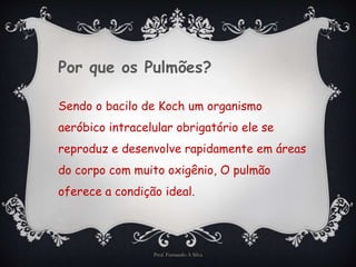 Por que os Pulmões? 
Sendo o bacilo de Koch um organismo 
aeróbico intracelular obrigatório ele se 
reproduz e desenvolve rapidamente em áreas 
do corpo com muito oxigênio, O pulmão 
oferece a condição ideal. 
Prof. Fernando A Silva 
 