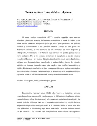 3 7 8
! ! " # # $ $ %
42
Tumor venéreo transmisible en el perro.
de la SOTA, P.1
; D´AMICO, G.2
; ADAGIO, L.2
; NOIA, M.2
; GOBELLO, C.1
1
Facultad de Ciencias Veterinarias - UNLP
2
Facultad de Ciencias Veterinarias – UNLPam
gdamico@vet.unlpam.edu.ar
RESUMEN
El tumor venéreo transmisible (TVT), también conocido como sarcoma
infeccioso, granuloma venéreo, linfosarcoma transmisible o tumor de Stiker, es un
tumor retículo endotelial benigno del perro que afecta principalmente a los genitales
externos y ocasionalmente a los genitales internos. Aunque el TVT posee una
distribución mundial, es una neoplasia de alta frecuencia en zonas tropicales y
subtropicales. Comúnmente se lo halla en áreas urbanas con grandes poblaciones de
perros callejeros. Dos a tres semanas posteriores al transplante se pueden observar
pequeños nódulos de 1 a 3 mm de diámetro, de coloración rosado a rojo. Las lesiones
iniciales son dermoepiteliales superficiales o pedunculadas. Luego, los nódulos
múltiples se fusionan formando masas más grandes, tipo coliflor, hemorrágicos y
friables. El diagnóstico definitivo se basa en examen físico y en hallazgos citológicos
típicos de células exfoliadas. La quimioterapia ha demostrado ser la terapia más efectiva
y práctica, siendo el sulfato de vincristina, la droga mas frecuentemente usada.
Palabras claves: perro, tumor, quimioterápico, genital.
SUMMARY
Transmissible venereal tumor (TVT), also known as infectious sarcoma,
venereal granuloma, transmissible lymphosarcoma or Sticker tumor, is a benign reticulo
endothelial tumor of the dog that mainly affects external genitalia and occasionally the
internal genitalia. Although, TVT has a cosmopolite distribution, it is a highly frequent
neoplasia in tropical and subtropical zones. It is commonly found in urban areas with
large populations of free-roaming dogs. Small pink to red, 1 to 3 mm diameter nodules
can be observed 2 or 3 weeks after transplantation. Initial lesions are superficial
 