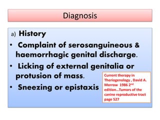 Diagnosis
a) History
• Complaint of serosanguineous &
haemorrhagic genital discharge.
• Licking of external genitalia or
protusion of mass.
• Sneezing or epistaxis
Current therapy in
Theriogenology , David A.
Morrow 1986 2nd
edition…Tumors of the
canine reproductive tract
page 527
 