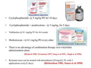 • Cyclophosphamide- @ 5 mg/kg PO for 10 days
• Cyclophosphamide + prednisolone - @ 3 mg/kg, for 5 days
• Vinblastine-@ 0.1 mg/kg IV for 4-6 weeks
• Methotrexate - @ 0.1 mg/kg PO every other
• There is no advantage of combination therapy over vincristine
administration alone
(Richard 1989, Vermooten 1997, Yang et al 1991 , Singh et al 1996)
• Resistant cases can be treated with doxorubicin (30 mg/m2, IV, with 3
applications every21 days) (Richardson 1981, Souza et al 1998)
 