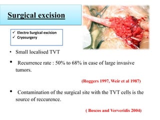Surgical excision
• Small localised TVT
• Recurrence rate : 50% to 68% in case of large invasive
tumors.
(Roggers 1997, Weir et al 1987)
• Contamination of the surgical site with the TVT cells is the
source of reccurence.
( Boscos and Ververidis 2004)
 Electro Surgical excision
 Cryosurgery
 