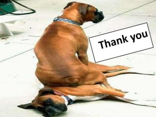 TRANSMISSIBLE VENERAL TUMOR