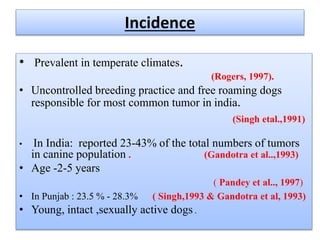 Incidence
• Prevalent in temperate climates.
(Rogers, 1997).
• Uncontrolled breeding practice and free roaming dogs
responsible for most common tumor in india.
(Singh etal.,1991)
• In India: reported 23-43% of the total numbers of tumors
in canine population . (Gandotra et al..,1993)
• Age -2-5 years
( Pandey et al.., 1997)
• In Punjab : 23.5 % - 28.3% ( Singh,1993 & Gandotra et al, 1993)
• Young, intact ,sexually active dogs .
 