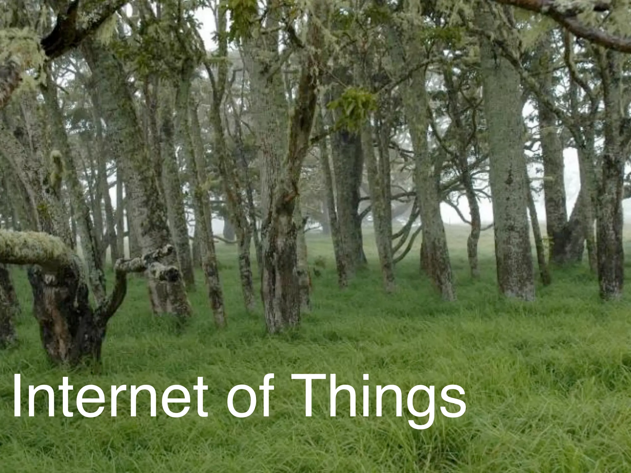 Internet of Things
 