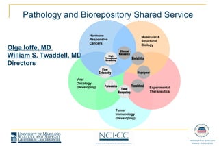 Olga Ioffe, MD  William S. Twaddell, MD Directors Pathology and Biorepository Shared Service   Molecular & Structural  Biology Hormone Responsive Cancers Viral Oncology (Developing) Tumor Immunology (Developing) Experimental Therapeutics High Throughput Screening Clinical Research Biopolymer Biostatistics Translational Tissue/ Biorepository Proteomics Flow Cytometry 