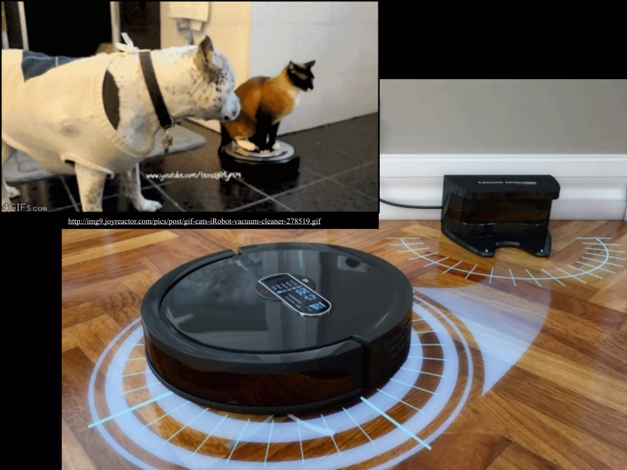 http://img9.joyreactor.com/pics/post/gif-cats-iRobot-vacuum-cleaner-278519.gif
 