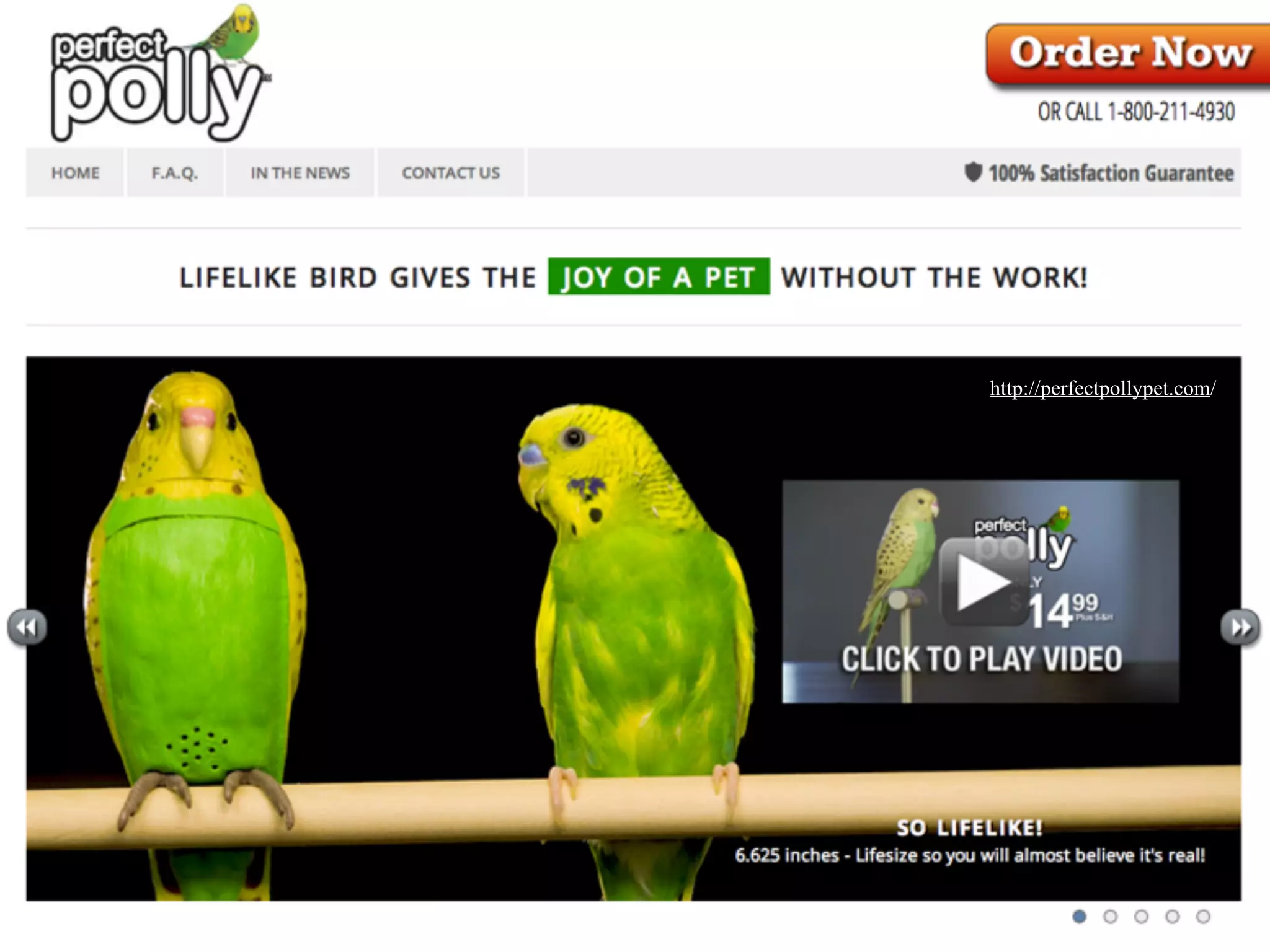 DEFINE
ROBOT
http://perfectpollypet.com/
 