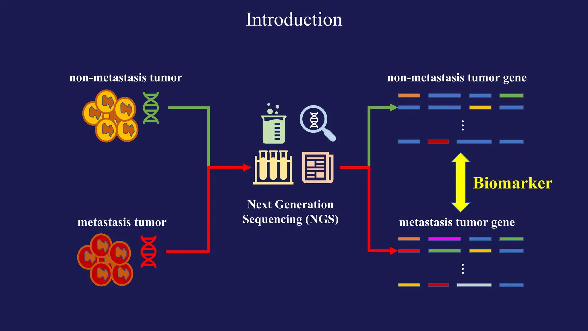 Introduction
non-metastasis tumor
metastasis tumor
Next Generation
Sequencing (NGS)
…
non-metastasis tumor gene
…
metastasis tumor gene
Biomarker
 