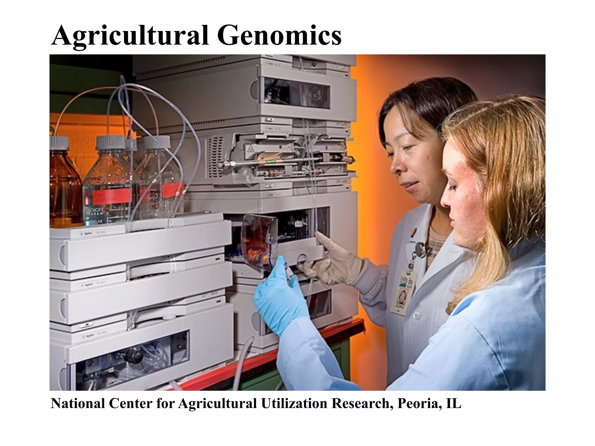 National Center for Agricultural Utilization Research, Peoria, IL
Agricultural Genomics
 
