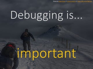 Debugging is...
important
Photo by Ewan Cross // cc by-nc-nd 2.0 // https://flic.kr/p/7MCt3m
 