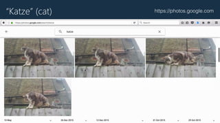 “Katze” (cat) https://photos.google.com
 