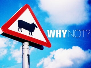 WHY NOT?

Image: slimmer_jimmer
 