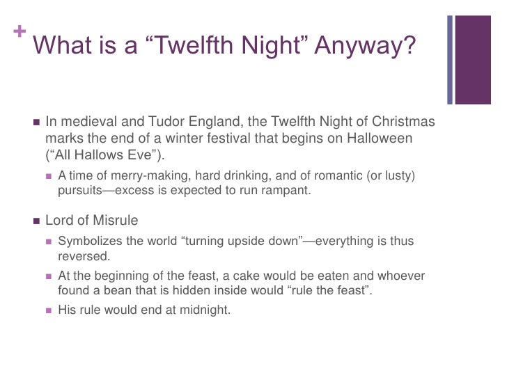 Essay on twelfth night