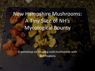 New Hampshire Mushrooms:
A Tiny Slice of NH’s
Mycological Bounty
A workshop on foraging wild mushrooms with
Will Hopkins
 