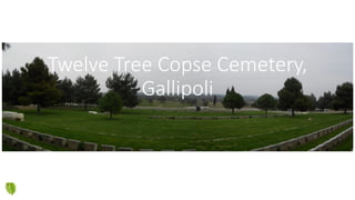 Twelve Tree Copse Cemetery,
Gallipoli
 