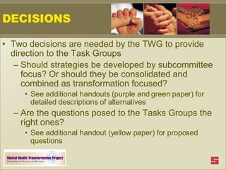 DECISIONS Two decisions are needed by the TWG to provide direction to the Task Groups Should strategies be developed by subcommittee focus? Or should they be consolidated and combined as transformation focused? See additional handouts (purple and green paper) for detailed descriptions of alternatives Are the questions posed to the Tasks Groups the right ones? See additional handout (yellow paper) for proposed questions 