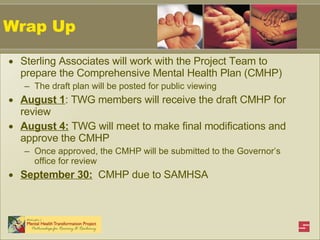 Wrap Up Sterling Associates will work with the Project Team to prepare the Comprehensive Mental Health Plan (CMHP) The draft plan will be posted for public viewing August 1 : TWG members will receive the draft CMHP for review August 4:  TWG will meet to make final modifications and approve the CMHP Once approved, the CMHP will be submitted to the Governor’s office for review September 30:   CMHP due to SAMHSA 