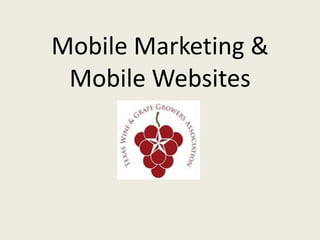 Mobile Marketing &
 Mobile Websites
 
