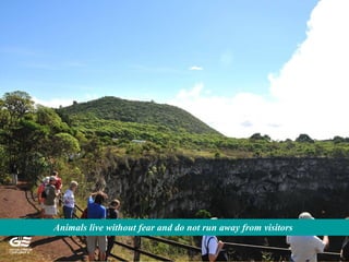 Animals live without fear and do not run away from visitors
 