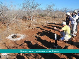 Close encounters with less a meter distance
 