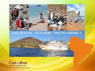 GALAPAGOS – ECUADOR – SOUTH AMERICA
 