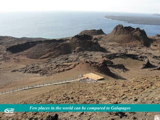 Few places in the world can be compared to Galapagos
 