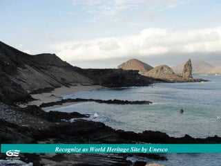 Recognize as World Heritage Site by Unesco
 