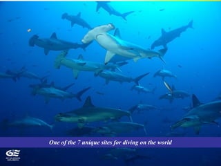 One of the 7 unique sites for diving on the world
 