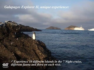 Experience 10 different islands in the 7 Night cruise,
different fauna and flora on each visit.
Galapagos Explorer II, unique experience:
 
