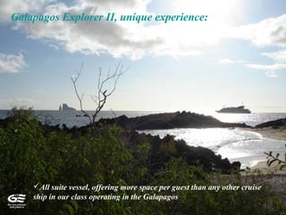 Galapagos Explorer II, unique experience:
All suite vessel, offering more space per guest than any other cruise
ship in our class operating in the Galapagos
 