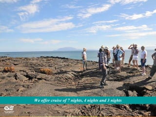 We offer cruise of 7 nights, 4 nights and 3 nights
 