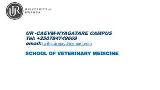 UR -CAEVM-NYAGATARE CAMPUS
Tel: +250784749669
email: twibanirejayd@gmail.com
SCHOOL OF VETERINARY MEDICINE
 