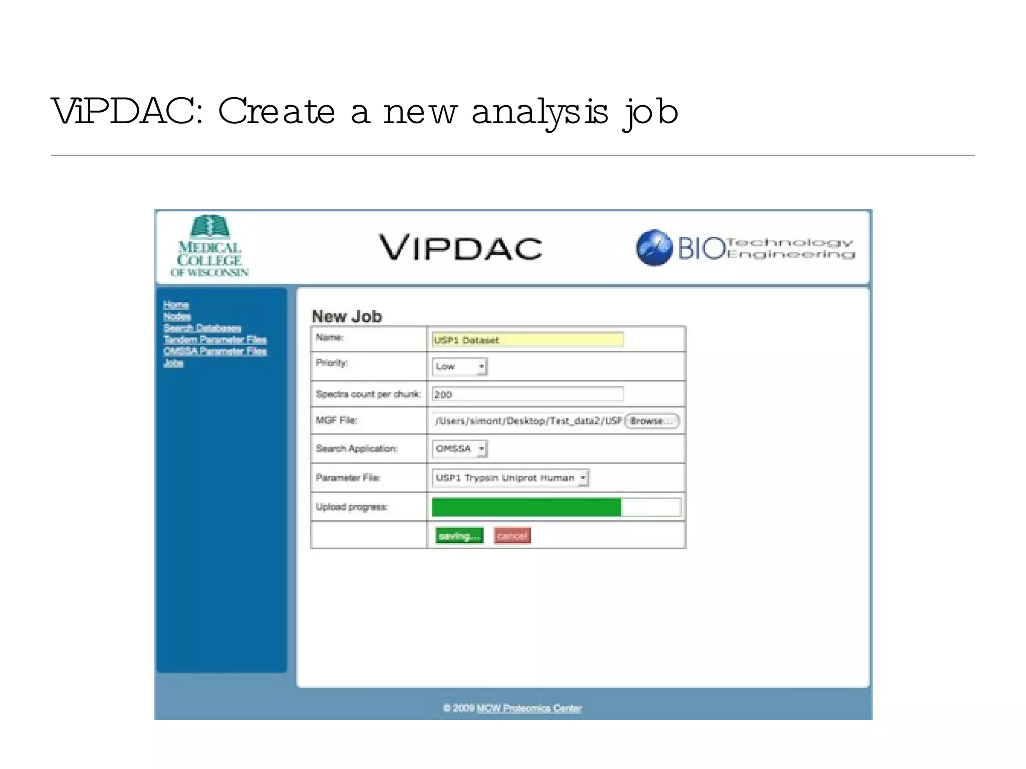 ViPDAC: Create a new analysis job 