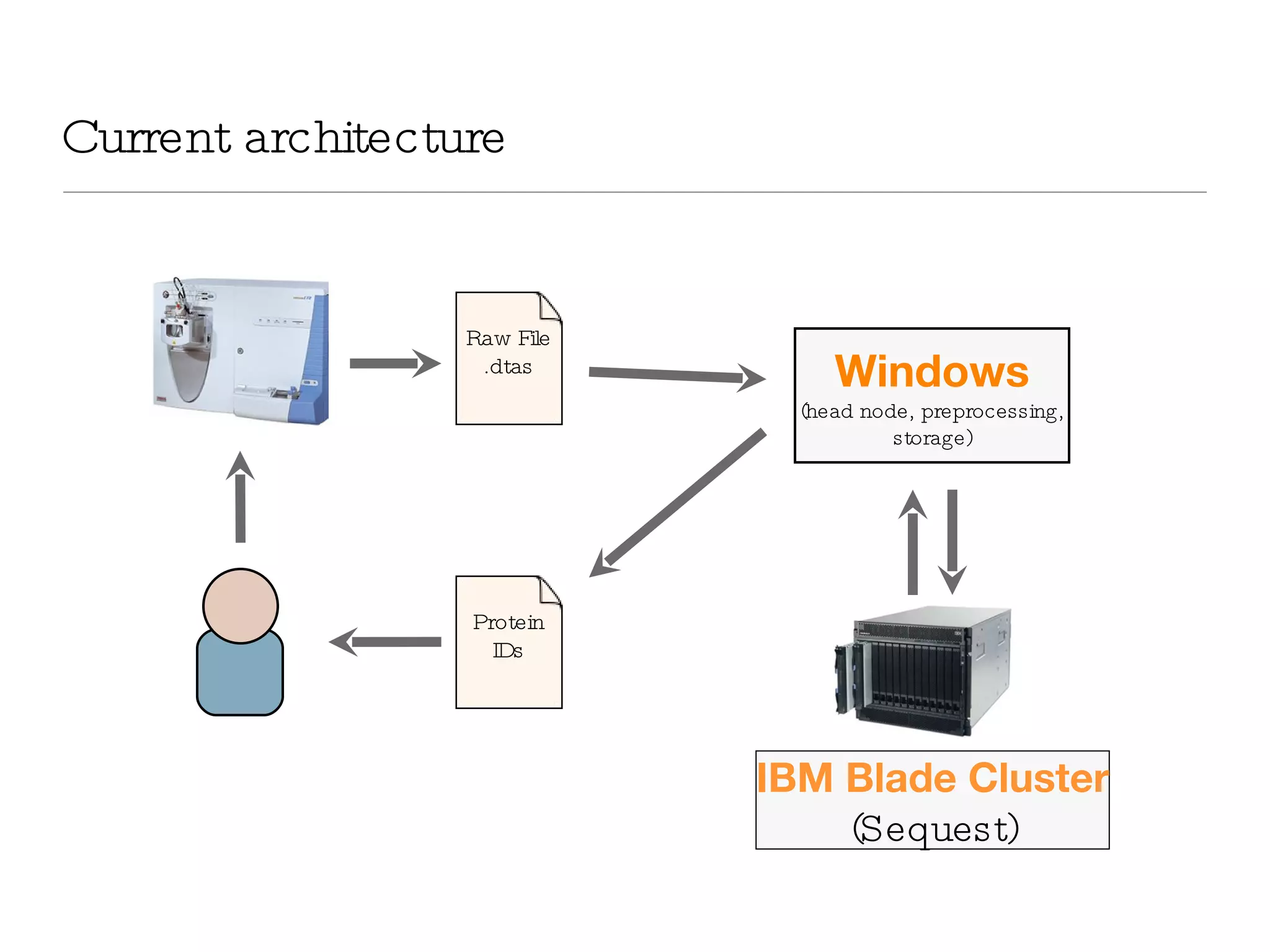 Current architecture Windows (head node, preprocessing, storage) Raw File .dtas Protein IDs IBM Blade Cluster (Sequest) 