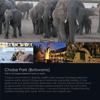 Chobe Park (Botswana)
Thrill to the largest elephant herds on earth
Chobe is one of Africa’s flagship wildlife parks, hosting the largest elephant
herds on earth, almost 100 species of mammals and prolific birdlife. It’s the
perfect link as a dual incentive destination with Victoria Falls just 100 kms away
on good roads. Our recommended partner property is the four-star Cresta
Chobe Mowana Safari Resort & Spa – 116 rooms facing the Chobe River and
facilities including golf course, tennis court and majestic spa.
 