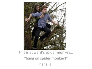 this is edward’s spider monkey… “ hang on spider monkey!” haha :]  