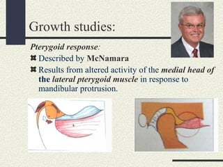 Growth studies:
Pterygoid response:
Described by McNamara
Results from altered activity of the medial head of
the lateral ...