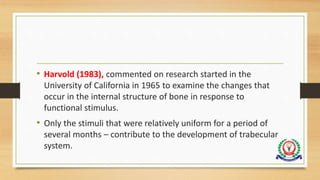 • Harvold (1983), commented on research started in the
University of California in 1965 to examine the changes that
occur in the internal structure of bone in response to
functional stimulus.
• Only the stimuli that were relatively uniform for a period of
several months – contribute to the development of trabecular
system.
 