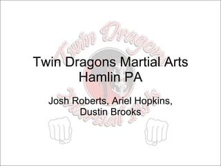 Twin Dragons Martial Arts Hamlin PA Josh Roberts, Ariel Hopkins, Dustin Brooks 
