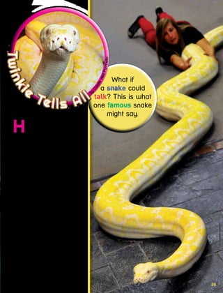 25
Hi! You probably think
I’m going to brag about
being named the largest albino
python by Guinness World
Records 2014. But I don’t brag.
I’m pretty quiet. Yes, it’s nice to
get the recognition. And I like
appearing on TV and having
my picture taken. Even when
humans knock on my glass
enclosure, or yell TWINKIE as
loud as they can so I’ll stick
my tongue out at them, I know
they love me. I have over
10,000 likes on Facebook!
Let me tell you, it hasn’t
always been easy to get
humans to understand me—
that is, not until I met Jay
Brewer and came to live at
the Reptile Zoo. It’s inside
the Prehistoric Pets store in
Fountain Valley, California.
What if
a snake could
talk? This is what
one famous snake
might say.
Twinki
e
Tells All
Twinki
e
Tells Allby
ColetteWeilParrinello
25
photoscourtesyof
 