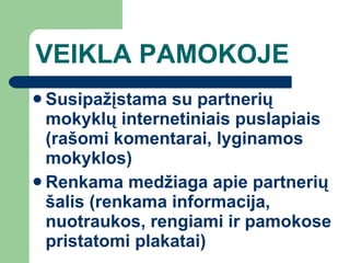 VEIKLA PAMOKOJE Susipažįstama su partnerių mokyklų internetiniais puslapiais (rašomi komentarai, lyginamos mokyklos) Renkama medžiaga apie partnerių šalis (renkama informacija, nuotraukos, rengiami ir pamokose pristatomi plakatai) 
