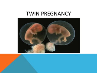 TWIN PREGNANCY
 