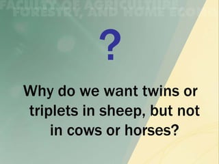 Why do we want twins or
triplets in sheep, but not
    in cows or horses?
 