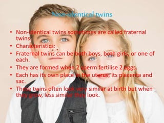 Twins | PPT