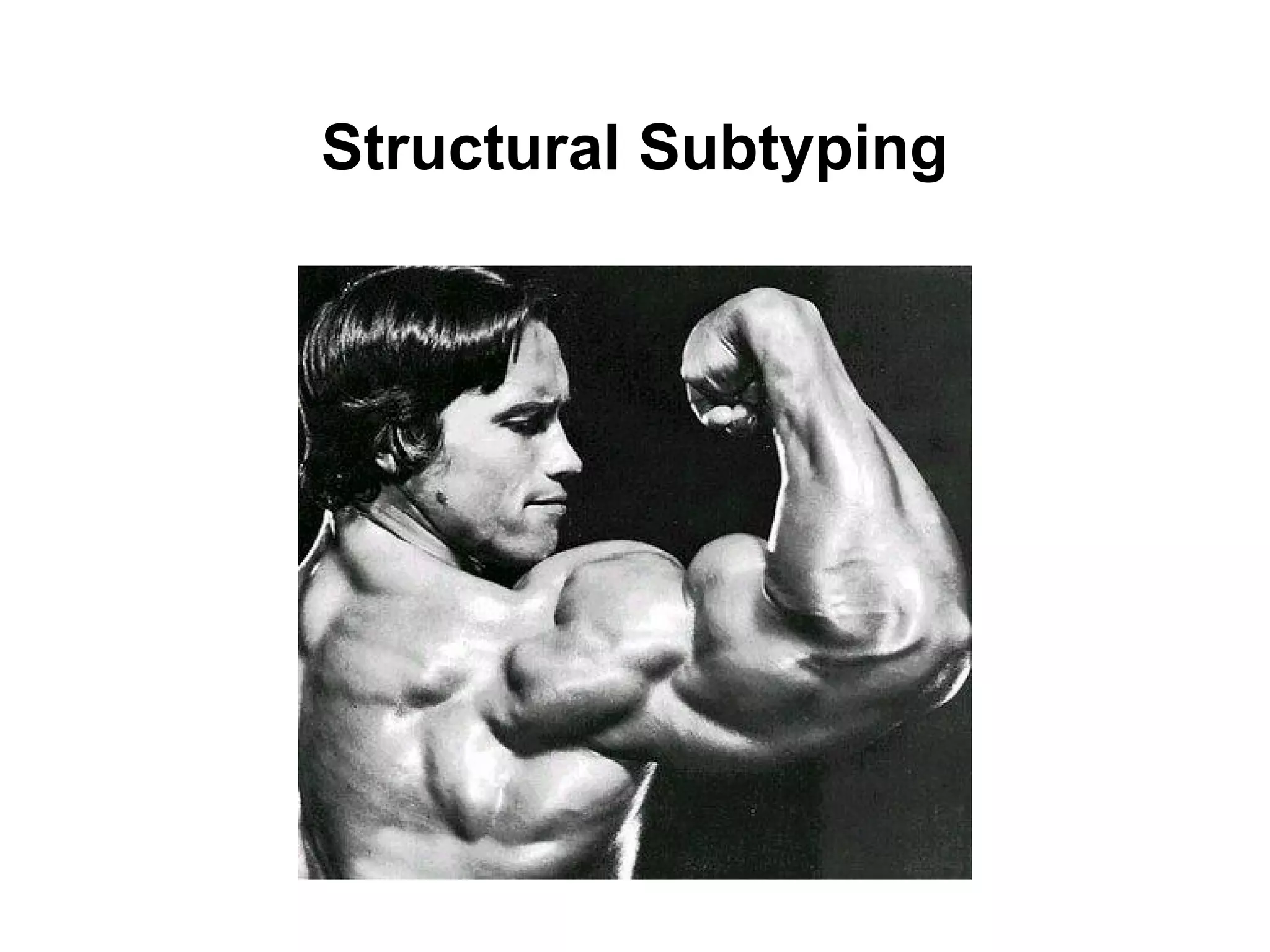 Structural Subtyping

 